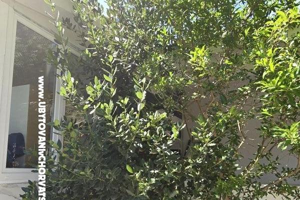 Sunset Paradise Apartmány Vir – foto 62