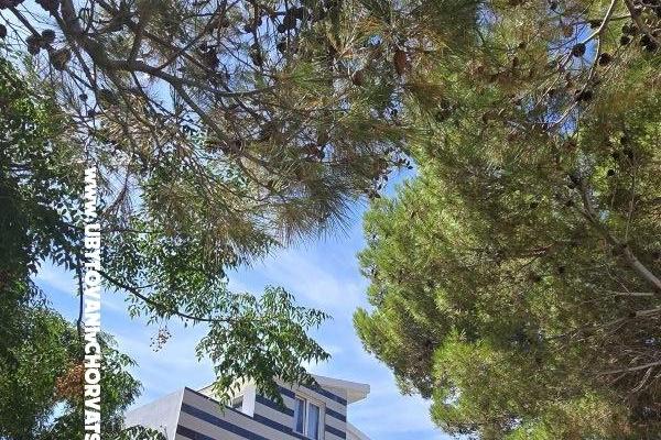 Sunset Paradise Apartmány Vir – foto 63