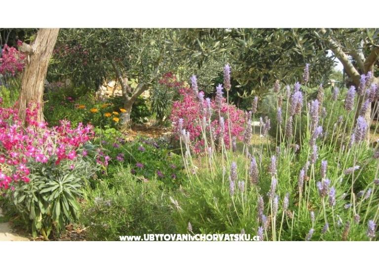 Apartmány Goga – foto 9