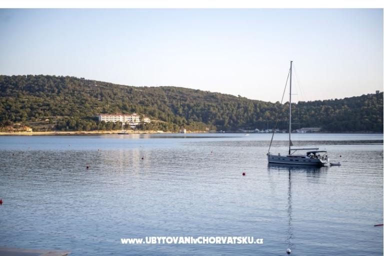 Apartmán AndriNa  Vis – foto 16