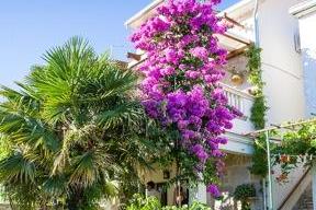 Apartmán Gita -Ston Dom – foto 2