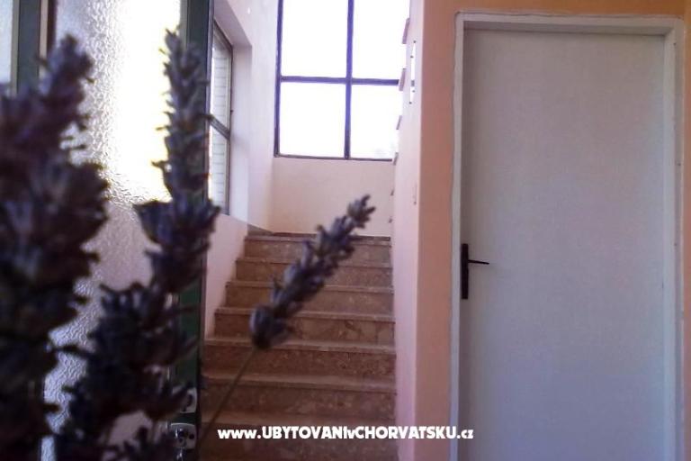 Apartmány  Smokva   – foto 3
