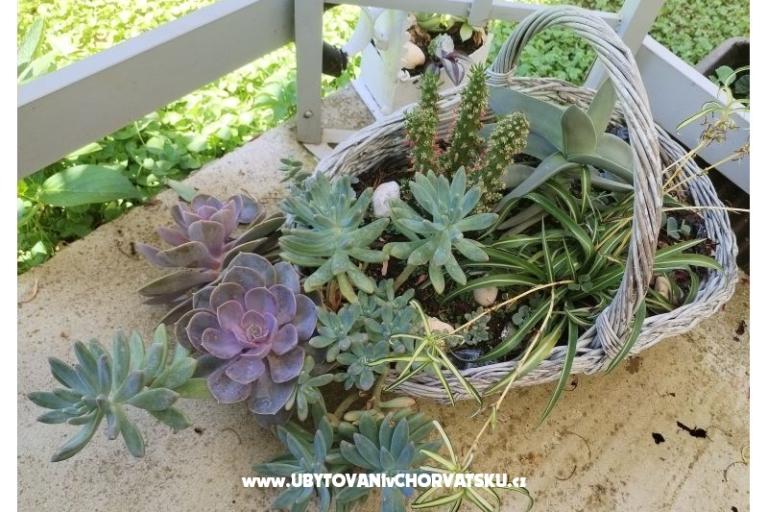 Apartmány NIKA – foto 15