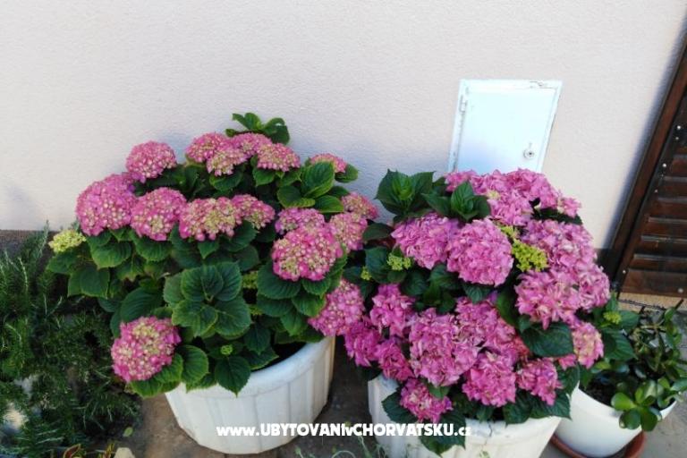 Apartmány NIKA – foto 16