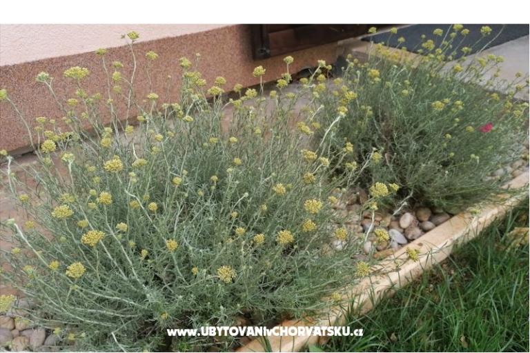 Apartmány NIKA – foto 18