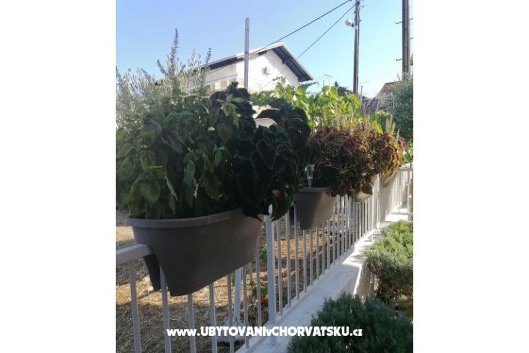 Apartmány NIKA – foto 8