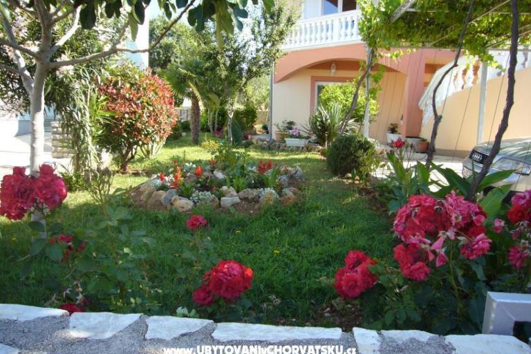 Apartmány Ćosić  – foto 3