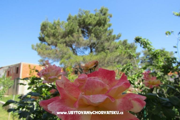 Apartmány Kokor – foto 14