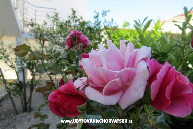 Apartmány Kokor – foto 4