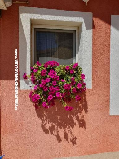 Apartmány Nana – foto 17