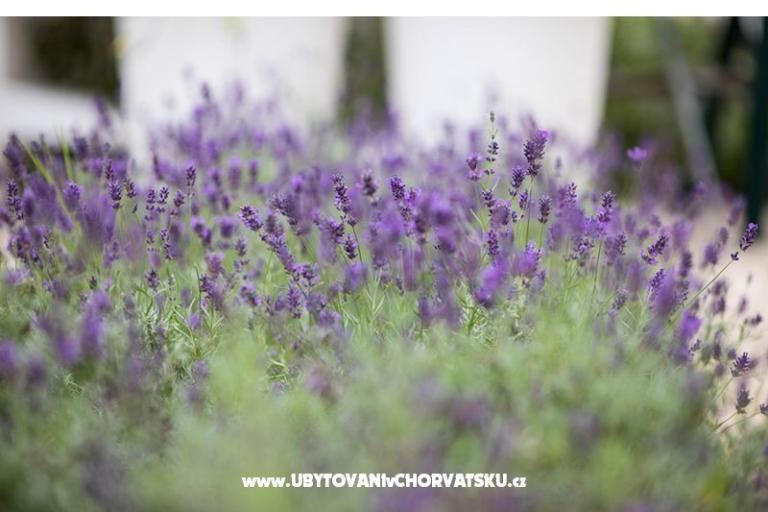 Apartmány Plima***Srima – foto 12