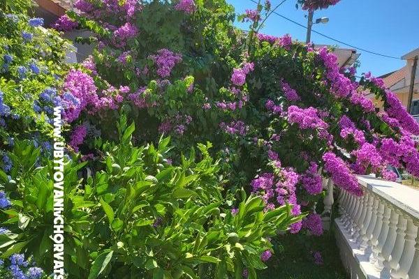 Apartmány Rino – foto 36