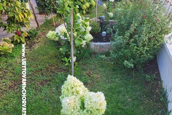 Apartmány Rino – foto 37