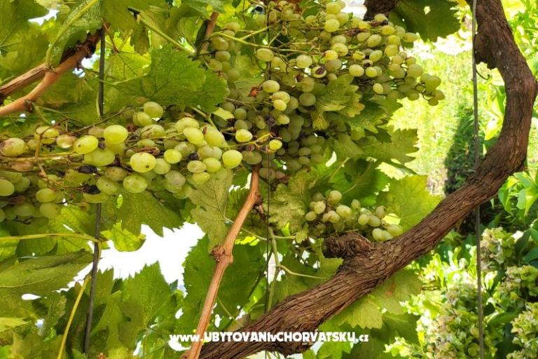 Apartmány Rino – foto 39