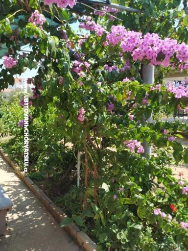 Apartmány Vinka – foto 20
