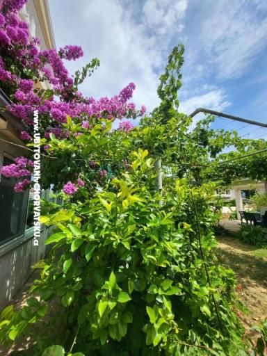 Apartmány Vinka – foto 23