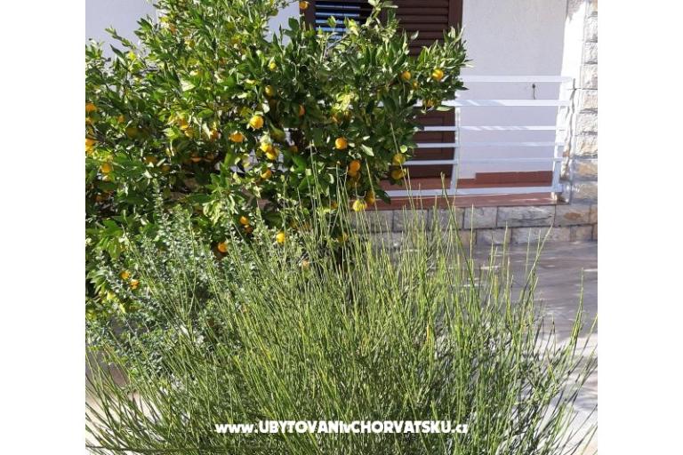 Apartmány Vitali – foto 10