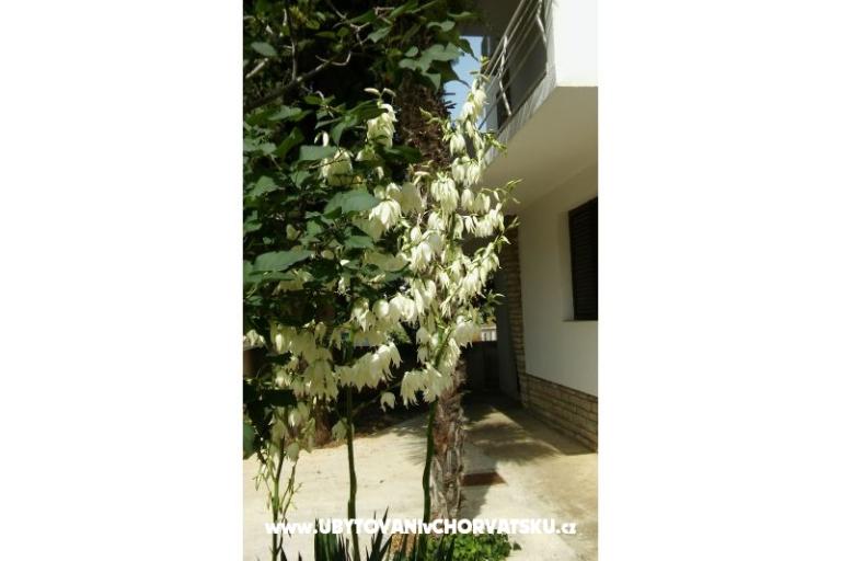 Apartmány Vitali – foto 6