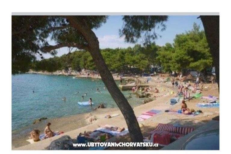 Apartmán Ivan (15m from  beach) – foto 26