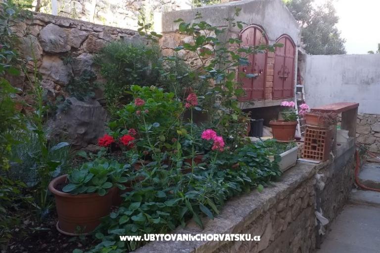 Apartmán Ivan (15m from  beach) – foto 8