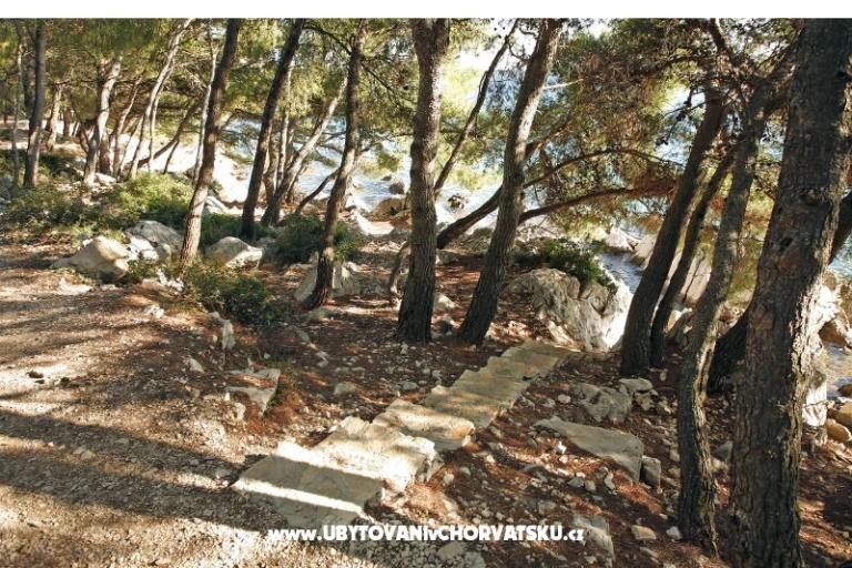 Apartmán  VESNA – foto 18