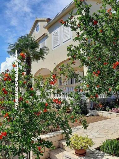 Apartmány Duzelovi dvori  – foto 16