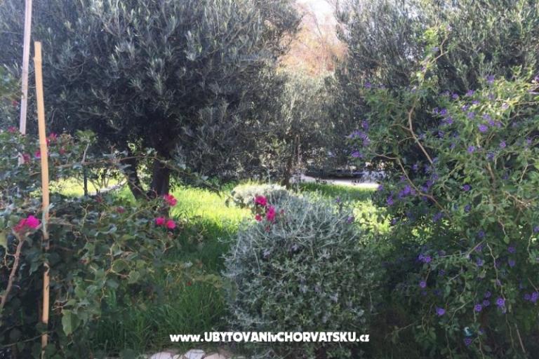 Apartmány Villa Tribunj – foto 3