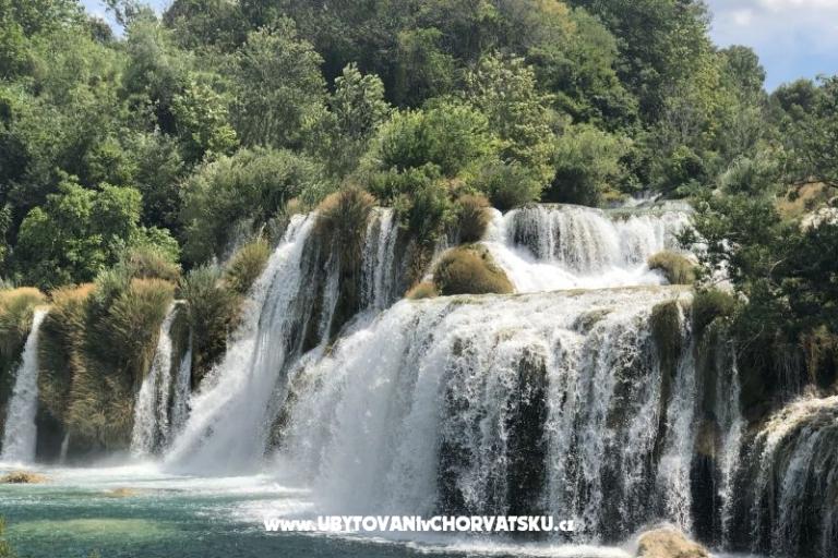 Kiwi Dom – foto 10