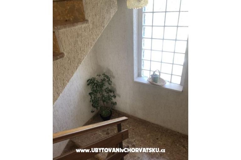 Kiwi Dom – foto 13