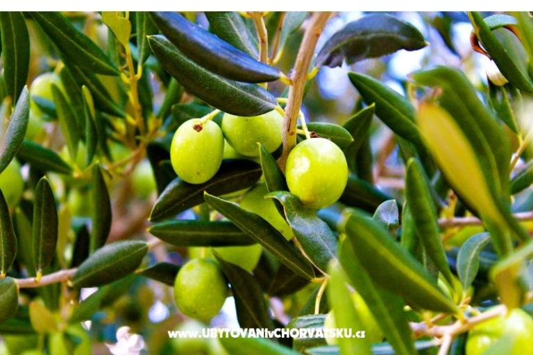 LAGOM apartments  – foto 13