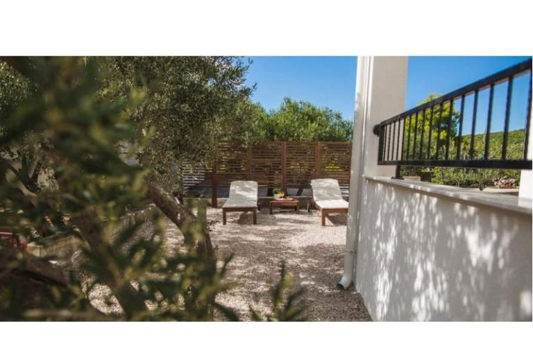 Olive Tree Apartmány – foto 9