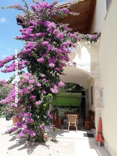 Apartmány  Vesna  – foto 20