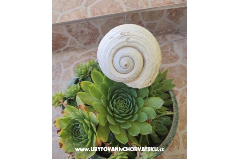 Vila Sara – foto 15