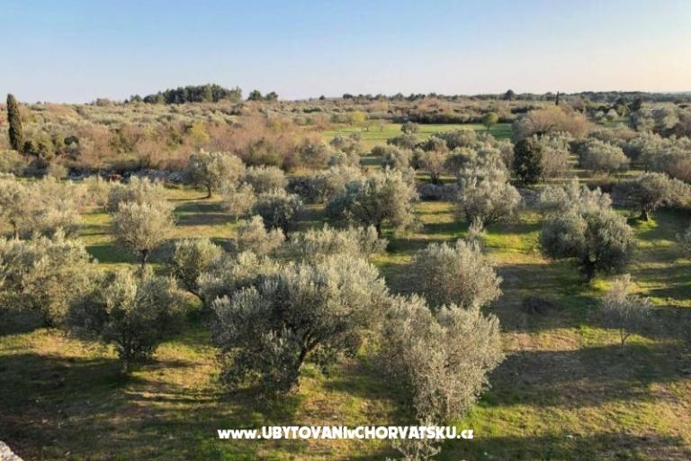 Casadigioia Apartmány – foto 6