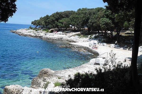 Apartmánets Fabio – foto 4