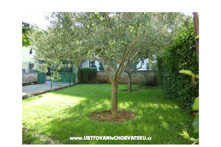 Apartmán  Dalmacija – foto 17