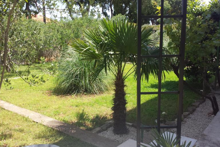 Apartmán Korina – foto 2