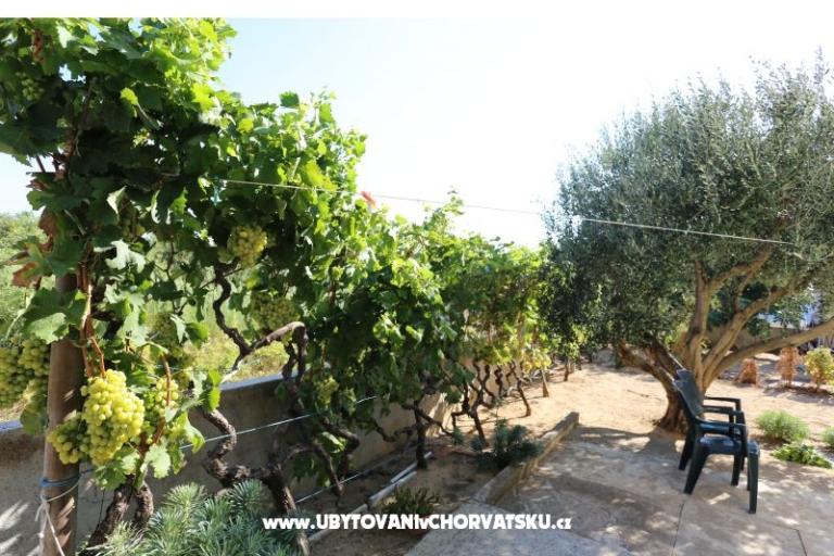 Apartmán Radobuljac Vrsi  – foto 3