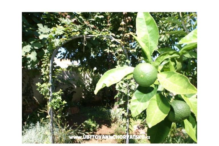 Apartmány Andredor – foto 7