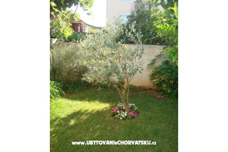 Apartmány Andredor – foto 8