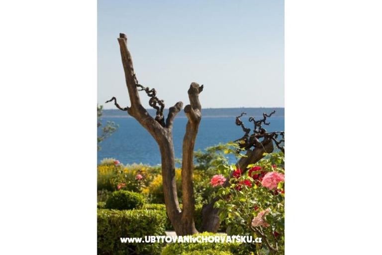 Apartmány DANI – foto 15