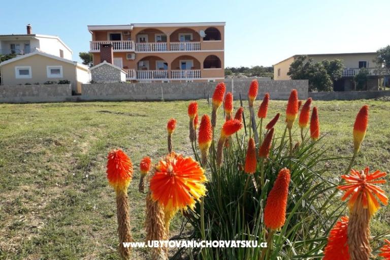 Apartmeni Adria - Rtina - – foto 13