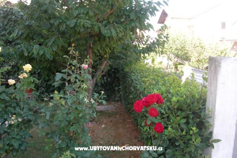 Apartmány Ravkin – foto 9