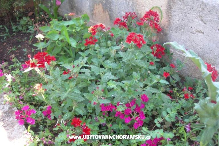 Apartmány Ravkin – foto 10