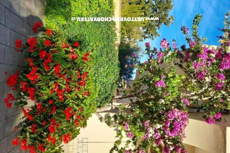 Apartmány Mira – foto 5