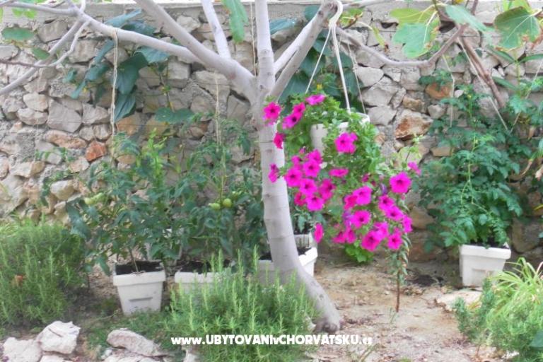 Apartmány Stojanović – foto 16