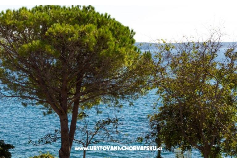 Apartmány Stošić – foto 10