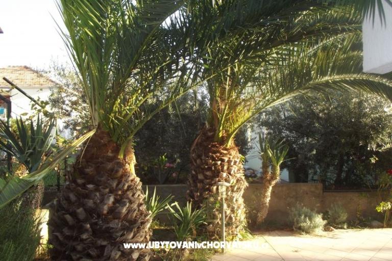 Apartmány Borik – foto 2