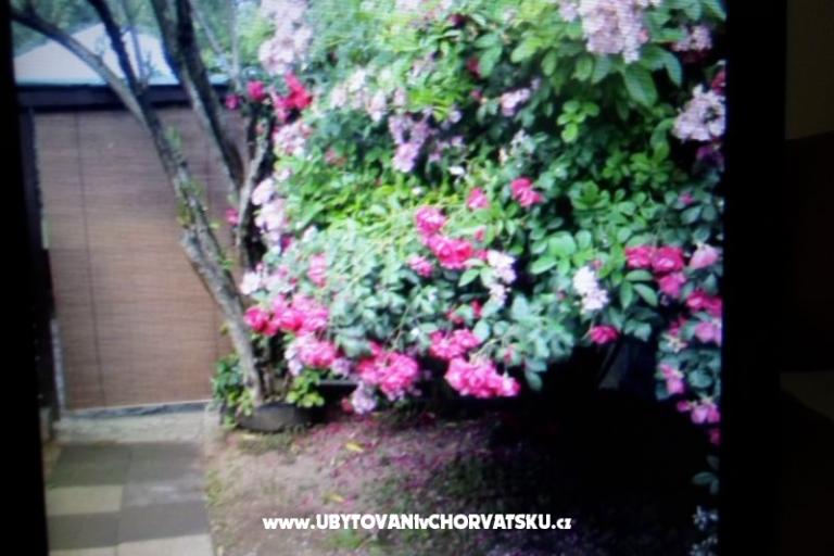 Apartmány Floresita – foto 16