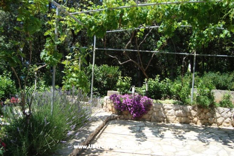 Apartmány ISA – foto 14